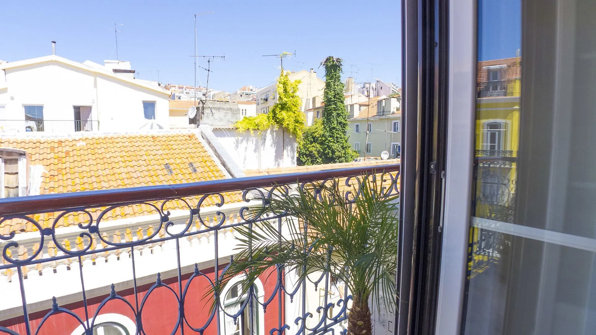 Lv Premier Flores Fl1 Lisboa